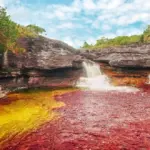 Cano Cristales, Sungai Unik dengan Lima Warna Air