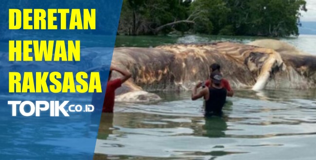 Deretan Penemuan Hewan Raksasa Paling Mengejutkan di Tahun 2017