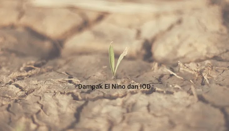 Perubahan iklim, apa dampak El Nino dan IOD di Indonesia?