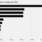 10 Negara memiliki universitas terbanyak di dunia, RI termasuk