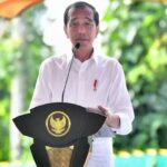 Presiden Jokowi: Mobil combustion enggak boleh masuk di IKN
