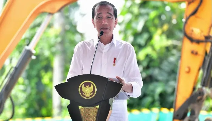 Presiden Jokowi: Mobil combustion enggak boleh masuk di IKN