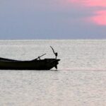 Hari Laut Sedunia dan komitmen Ekonomi Biru Indonesia