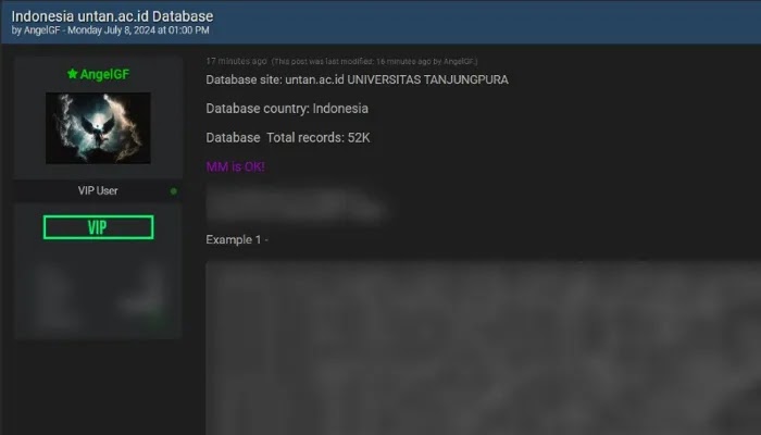 Data Universitas Tanjungpura dibobol, dijajakan di dark web