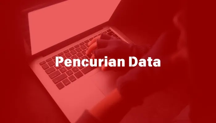 Pencurian data marak, begini cara cek kebocoran dengan fitur Google
