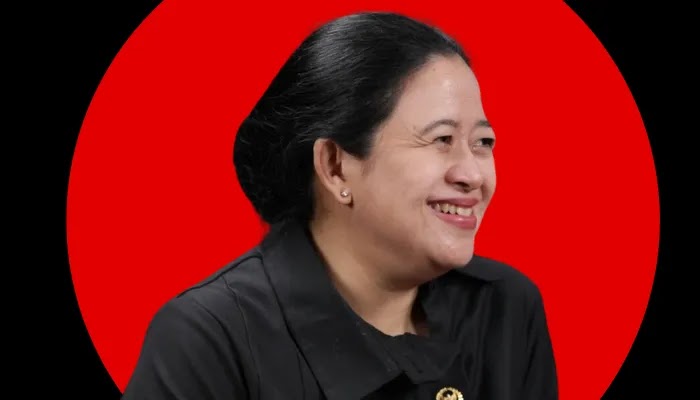 Dirjen Aptika mundur, Ketua DPR: Memiliki dampak positif dan negatif