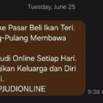 Gencar berantas judi online, Kominfo kirim pantun lewat SMS