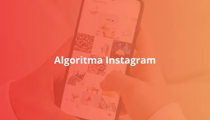 Cara reset algoritma Instagram, hindari konten tak pantas