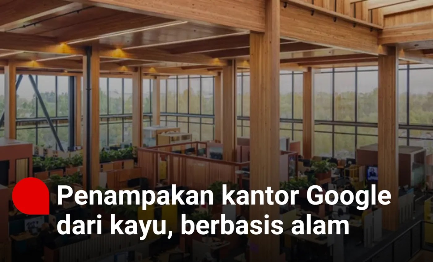 Penampakan kantor Google dari kayu, berbasis alam