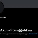Akun Bjorka ditangguhkan, langgar aturan main 𝕏