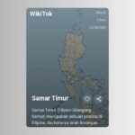 Melongok WikiTok, artikel Wikipedia bergaya TikTok