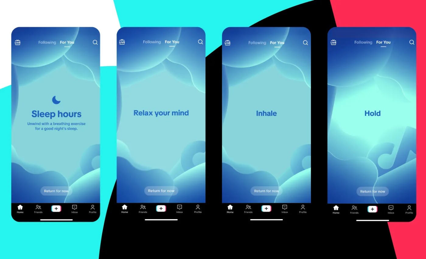 TikTok perketat batasan usia, orang tua bisa blokir akun anak