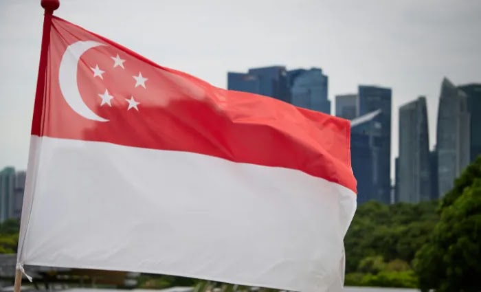 Singapura pimpin dialog global, lindungi pekerja platform digital