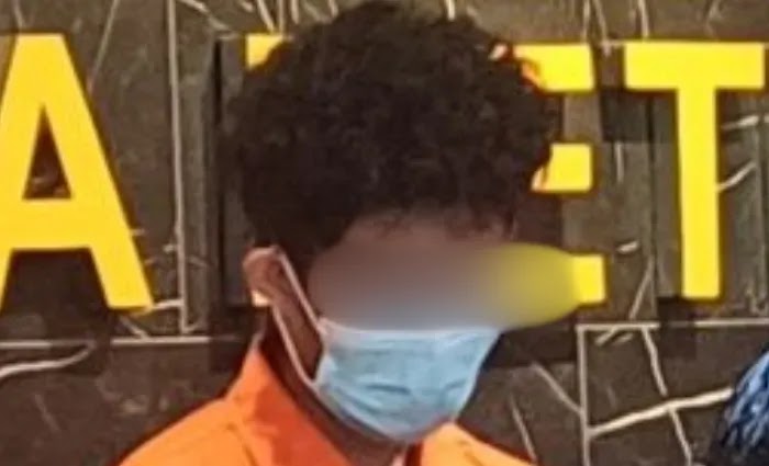 Jual data di web gelap, Bjorka palsu ditangkap polisi