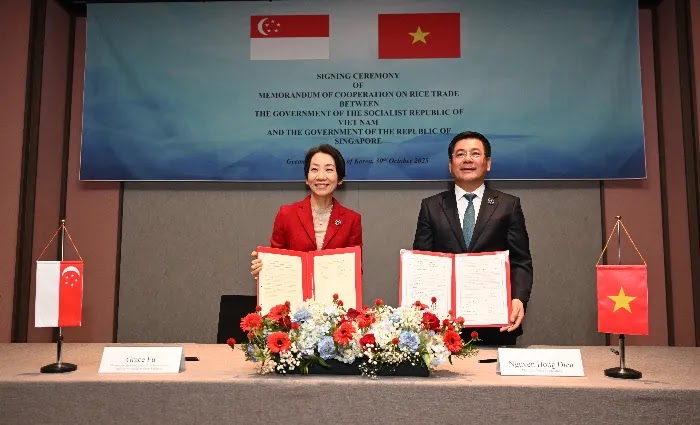 Sah! Singapura gandeng Vietnam amankan pasokan beras dan pangan
