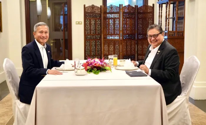 Kemitraan strategis RI-Singapura: energi hijau dan digitalisasi