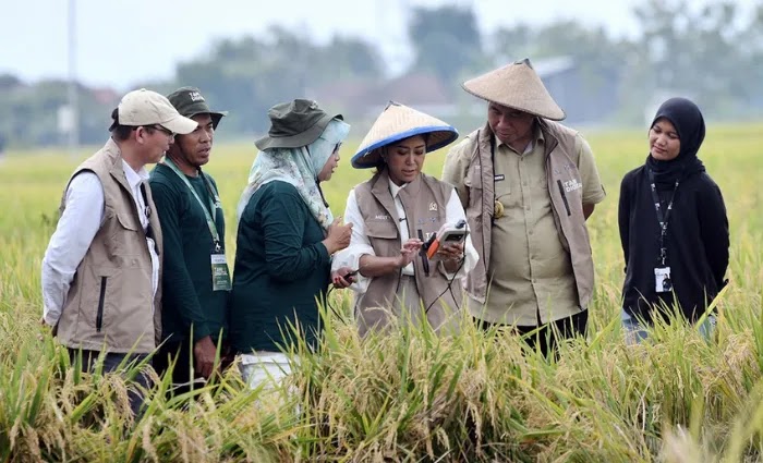 RI dorong petani melek digital, Menkomdigi: prioritas Presiden Prabowo