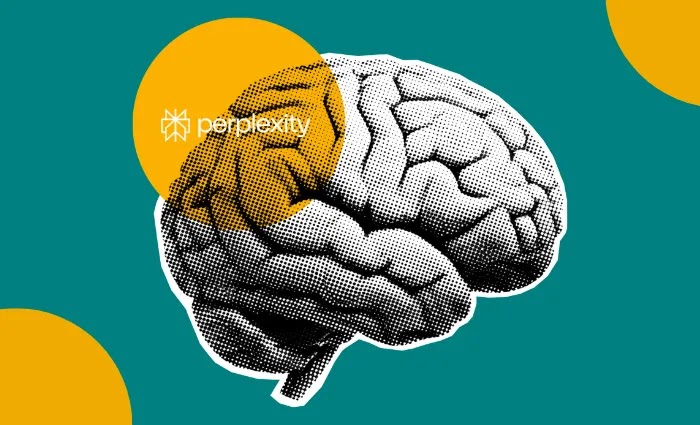Perplexity buka data, mahasiswa lebih banyak menggunakan agen AI