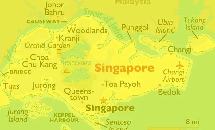 Polisi Singapura tangkap 143 penipu online, bakal dicambuk