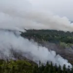 108 Sekolah di Malaysia Ditutup Akibat Kabut Asap Karhutla Kalimantan