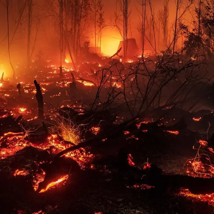 Daftar Titik Kebakaran Hutan dan Lahan di Kalimantan, Dampak Meluas