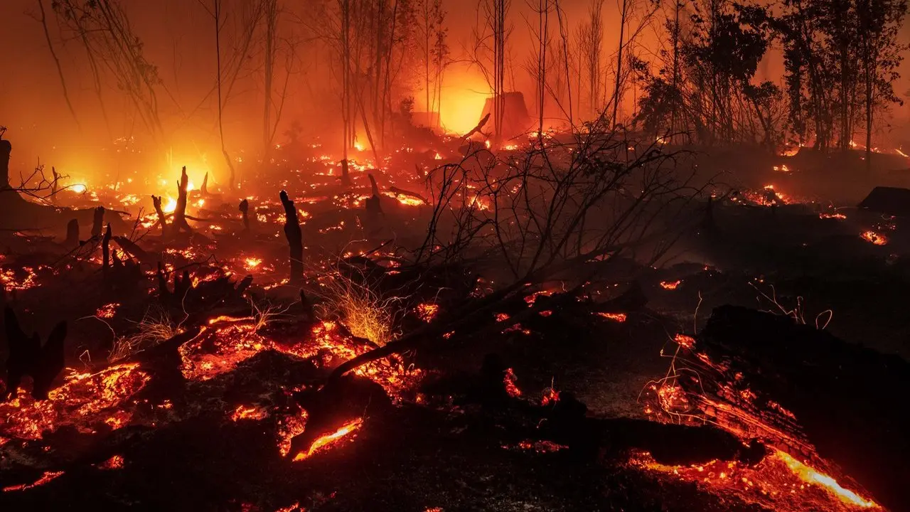 Daftar Titik Kebakaran Hutan dan Lahan di Kalimantan, Dampak Meluas
