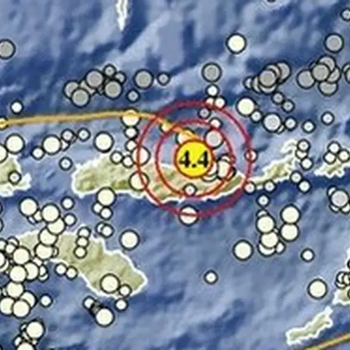 Gempa M 4,4 Guncang Nagekeo NTT, BMKG: Pusatnya 42 Km Timur Laut Mbay