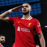 Manchester City Ajukan Tawaran Fantastis untuk Cody Gakpo