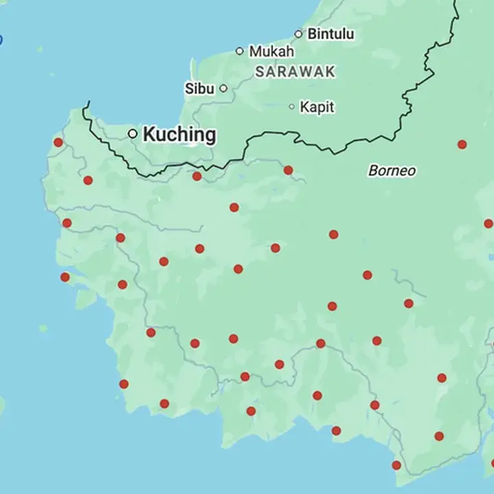 Warganet Cek Google Maps, Temukan Sebaran Indikator Kebakaran di Kalimantan