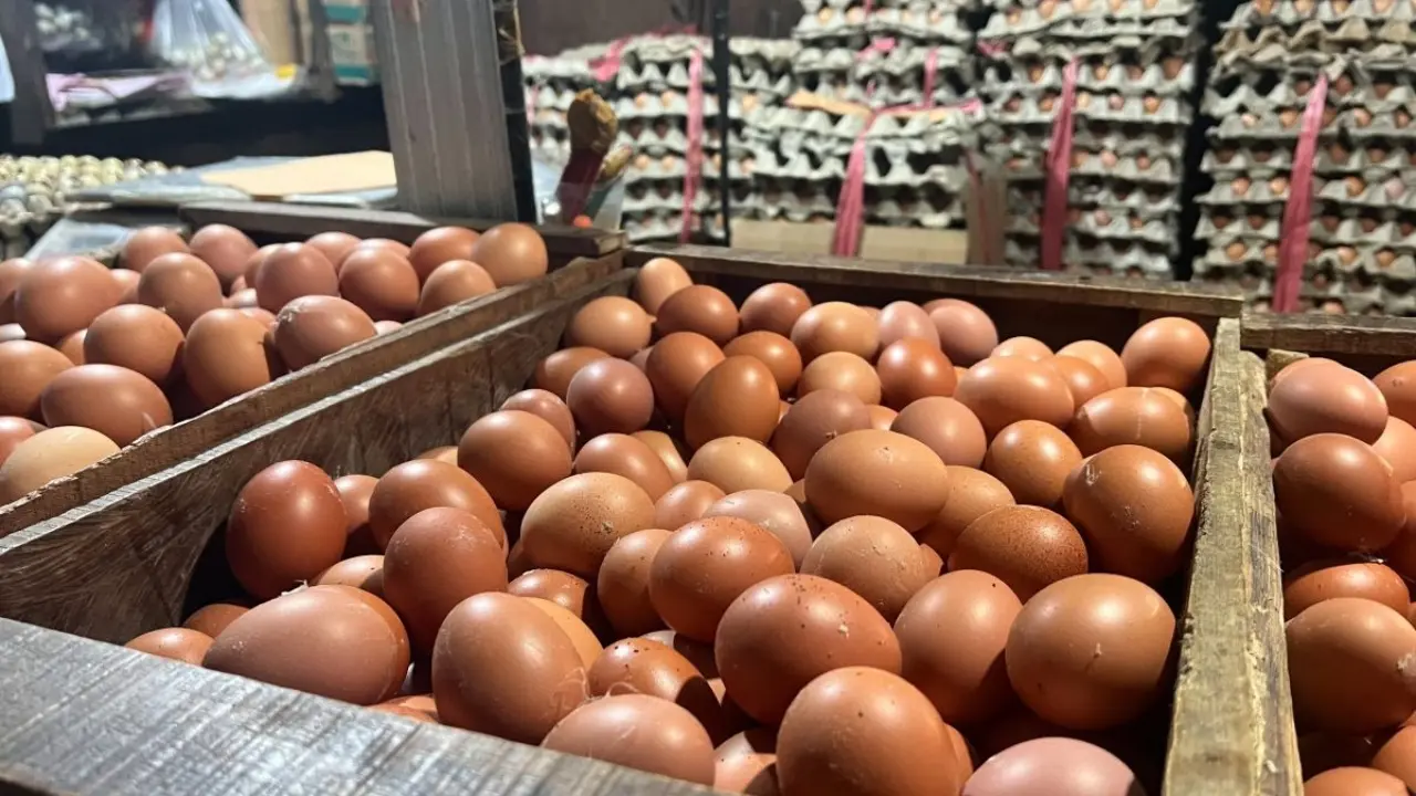 Harga Ayam Telur Dan Beras Naik Berbeda Di Antarwilayah Pemda Diminta Waspadai Tekanan Inflasi