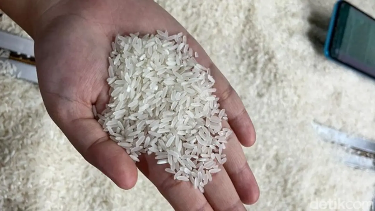 Harga Beras Medium Di Sangihe Stabil Meski Kemarau Panjang Stok Bulog Dipastikan Aman
