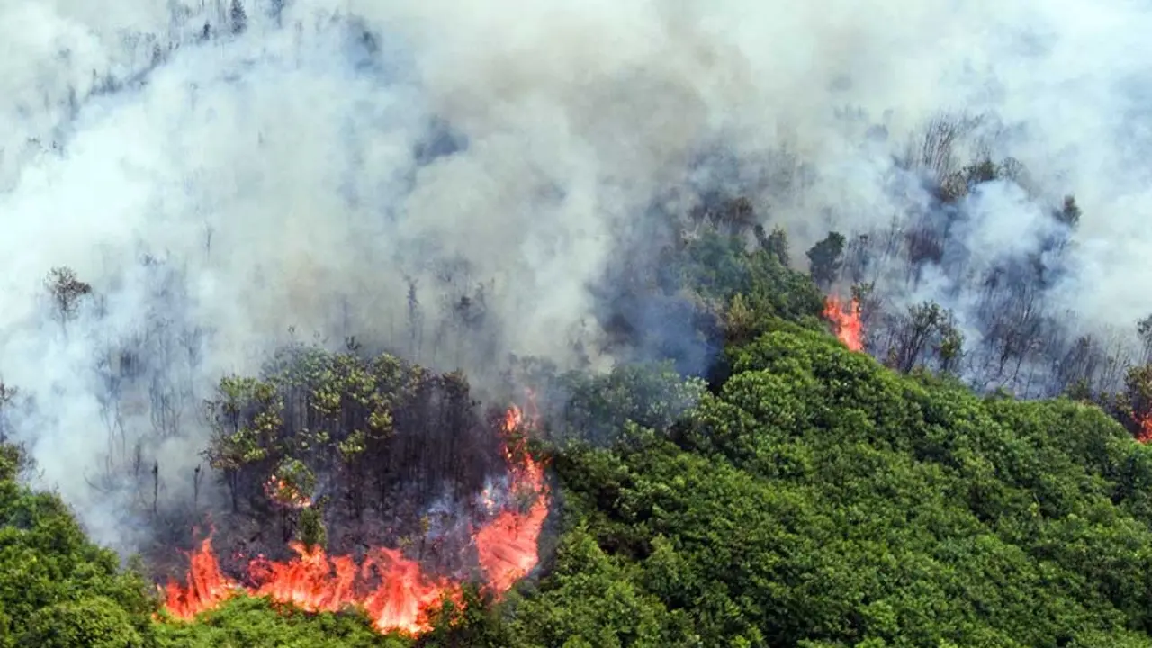 Hotspot Karhutla Nasional Naik Jadi 546 Titik Kalimantan Tengah Melonjak Hingga 166 Titik