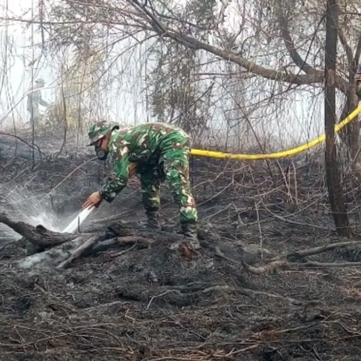Karhutla di Keritang Belum Sepenuhnya Padam, TNI dan Warga Terus Sisir Lahan untuk Cegah Api Meluas