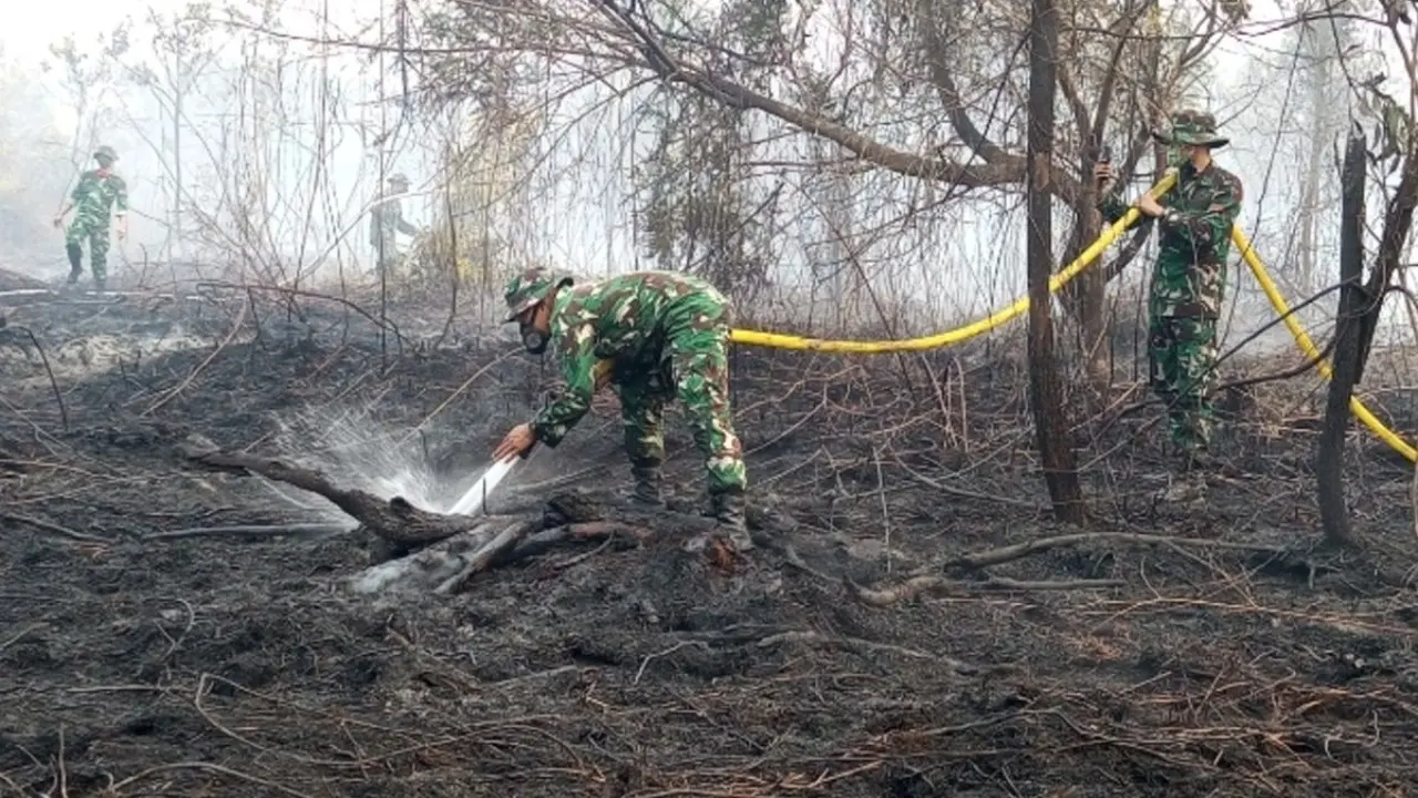 Karhutla Di Keritang Belum Sepenuhnya Padam Tni Dan Warga Terus Sisir Lahan Untuk Cegah Api Meluas