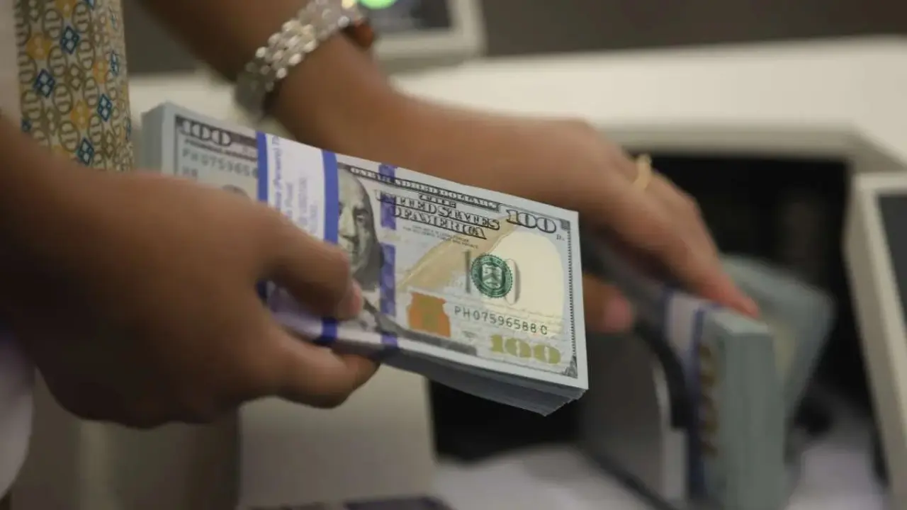 Rekening Dolar Orang Kaya Indonesia Melonjak 58,2%, Ini Alasan Simpanan Valas Makin Diminati