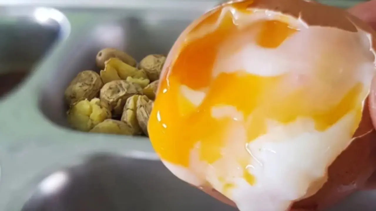 Viral Siswa Terima Mbg Berisi Telur Mentah Korwil Sppg Kabupaten Semarang Sampaikan Permintaan Maaf