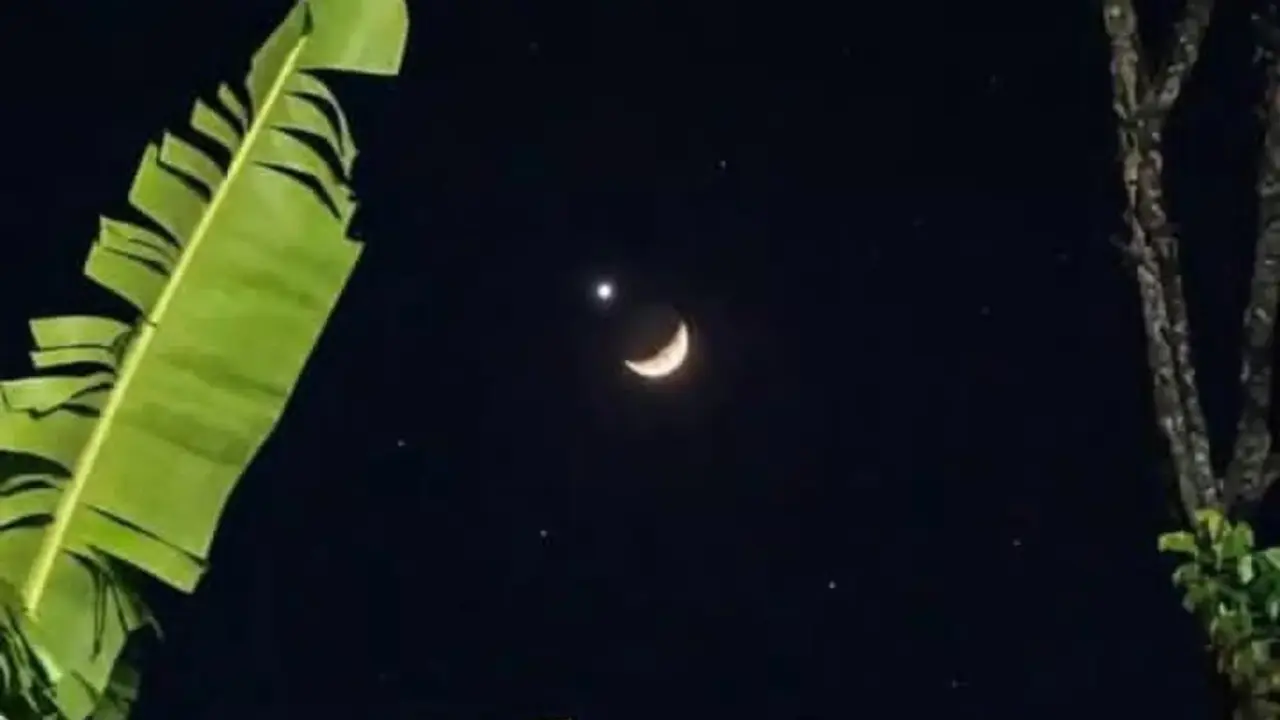 Fenomena Okultasi Venus Oleh Bulan