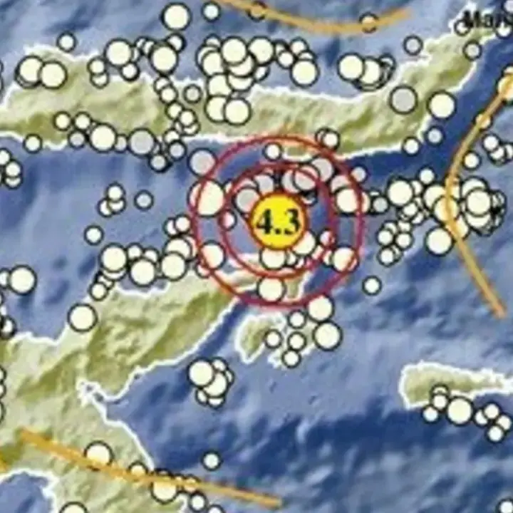 BMKG Catat Gempa Magnitudo 4,3 Menerjang Tenggara Bone Bolango Gorontalo, Kedalaman 124 Km