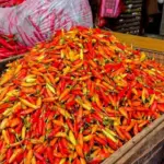 Harga Cabai Rawit Meroket di 265 Wilayah RI, Nyaris Tembus Rp200 Ribu