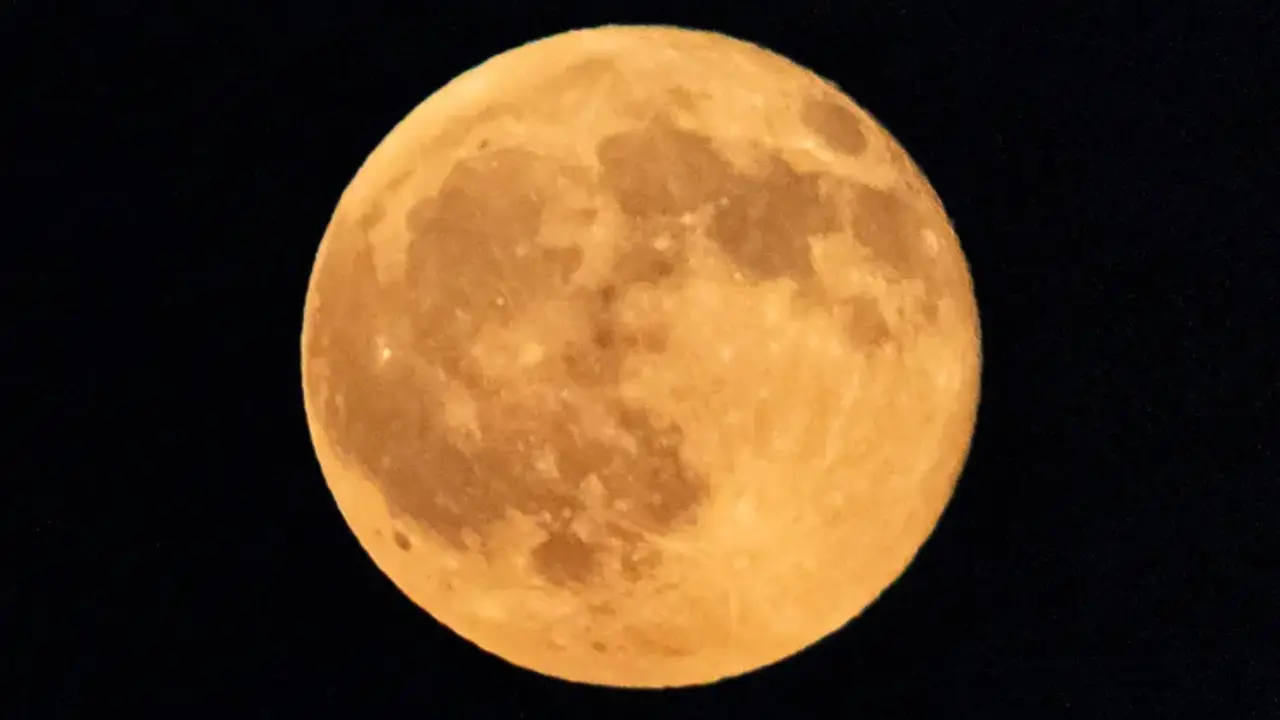 Harvest Moon