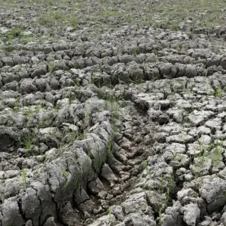 OJK Ingatkan Fenomena El Nino Berpotensi Kerek NPL Perbankan