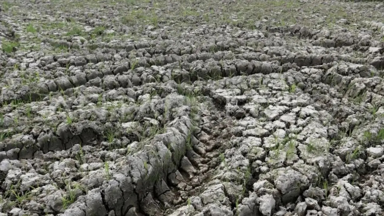 Lahan sawah kering
