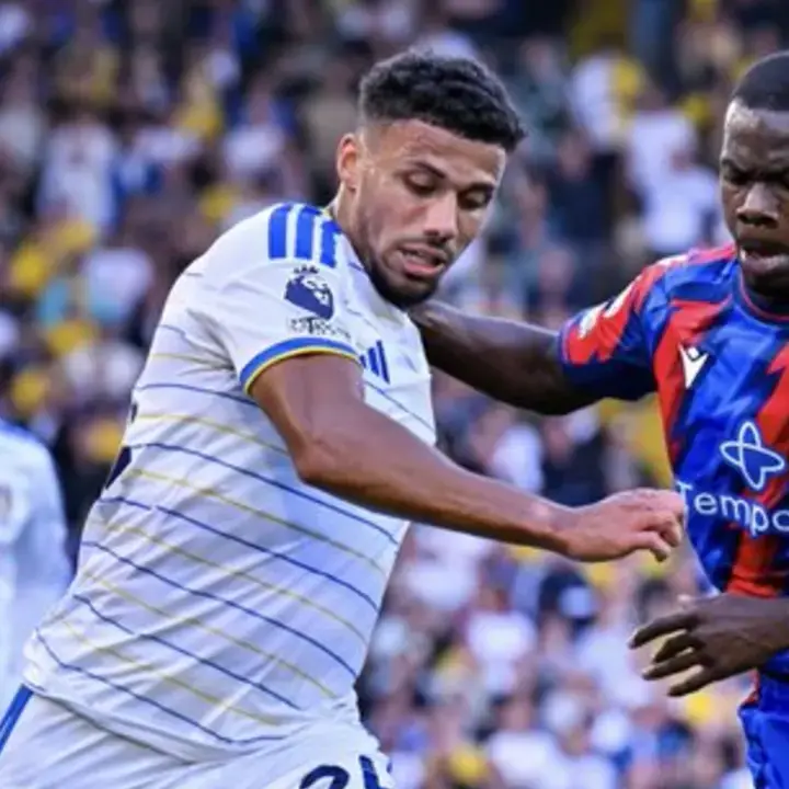 Hasil Leeds United vs Crystal Palace di Liga Inggris