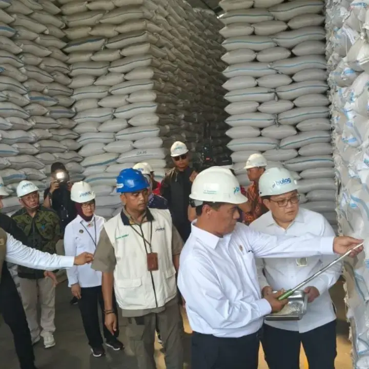 Daftar 25 Merek Beras Fortifikasi Palsu yang Beredar di Pasaran