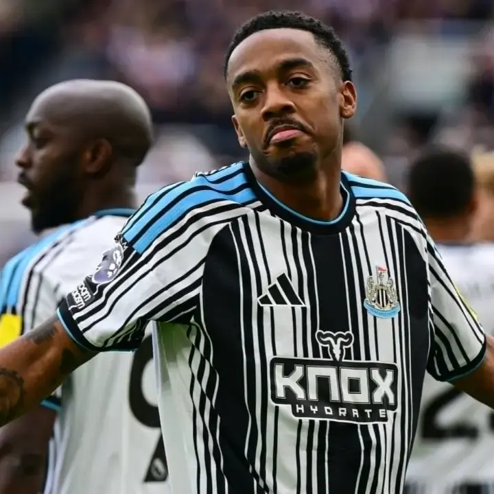 Hasil Newcastle United vs Hull City di Liga Inggris