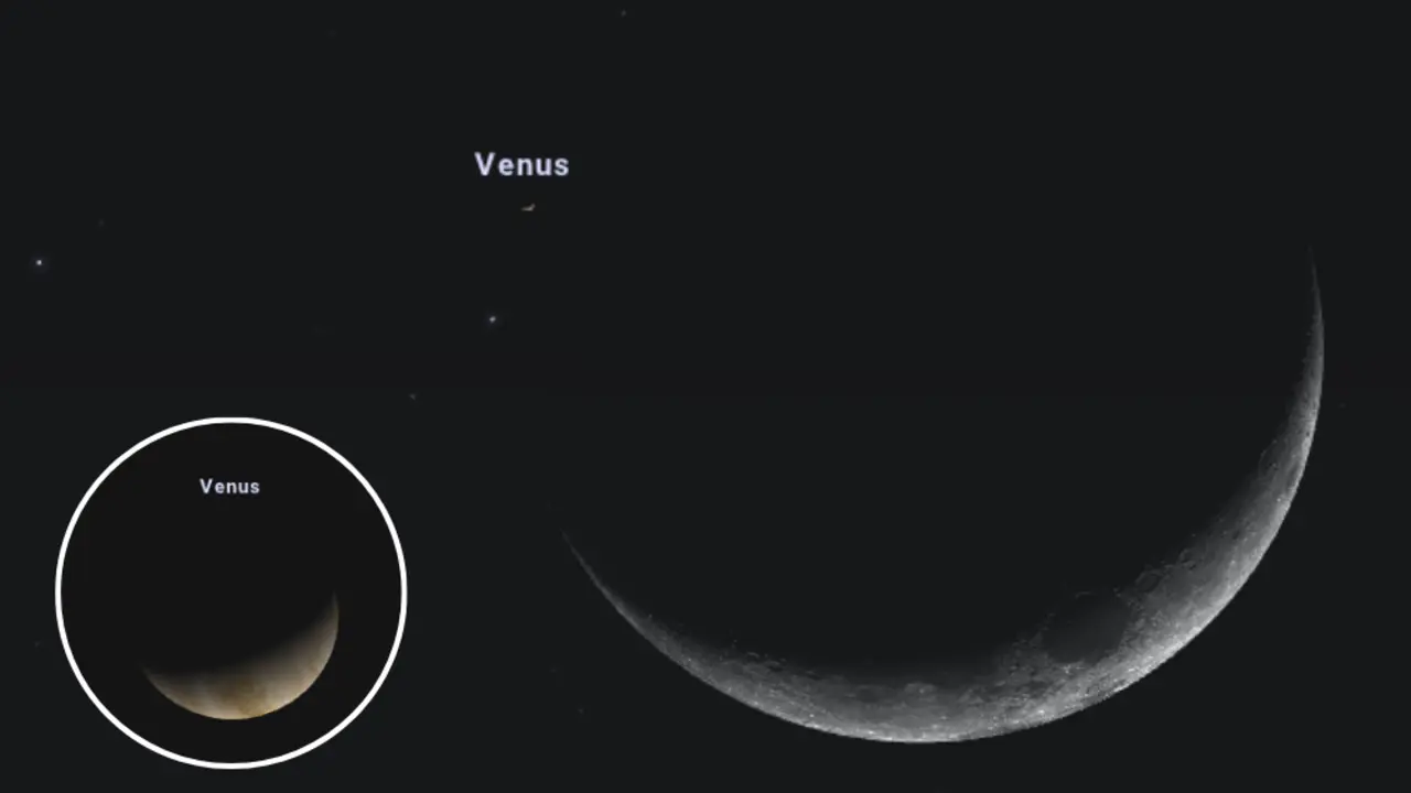 okultasi venus