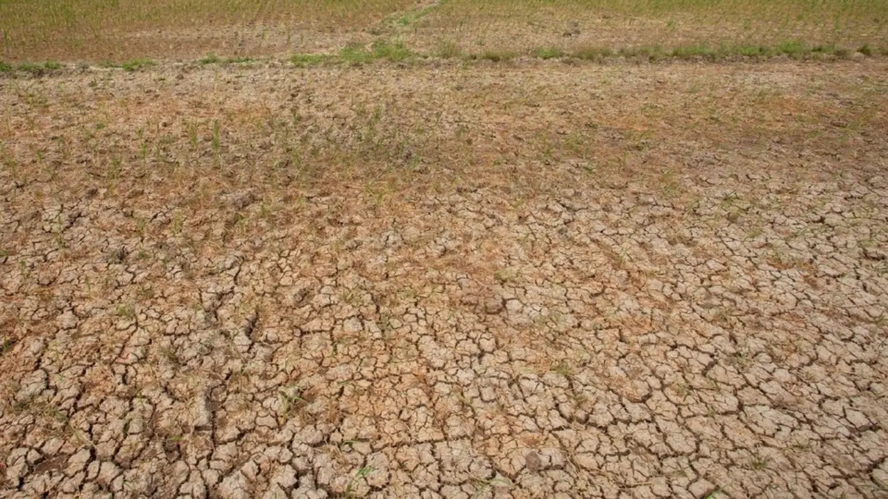 Sawah Kering