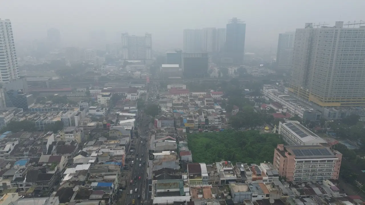 Kabut Asap Karhutla Meluas, Sejumlah Daerah di Sumatera Terapkan PJJ Hingga 21 Oktober Kabut Asap Karhutla Meluas, Sejumlah Daerah di Sumatera Terapkan PJJ Hingga 21 Oktober
