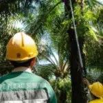 PTPS Siapkan Dividen Interim Rp 4,3 Miliar, Pemegang Saham Berhak Terima Rp 2 per Lembar PTPS Siapkan Dividen Interim Rp 4,3 Miliar, Pemegang Saham Berhak Terima Rp 2 per Lembar