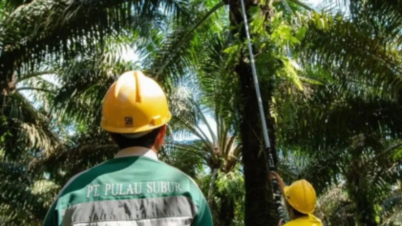 PTPS Siapkan Dividen Interim Rp 4,3 Miliar, Pemegang Saham Berhak Terima Rp 2 per Lembar PTPS Siapkan Dividen Interim Rp 4,3 Miliar, Pemegang Saham Berhak Terima Rp 2 per Lembar